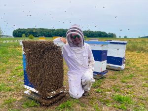 Lauren Goldstein working in a field with honey bees