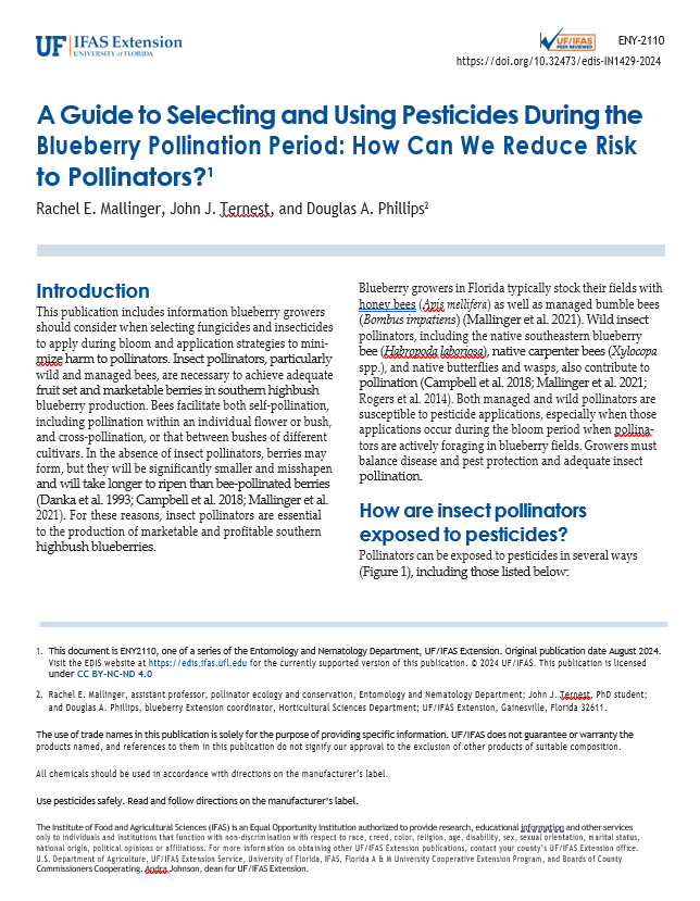 Bluberry-ENY-coverpage