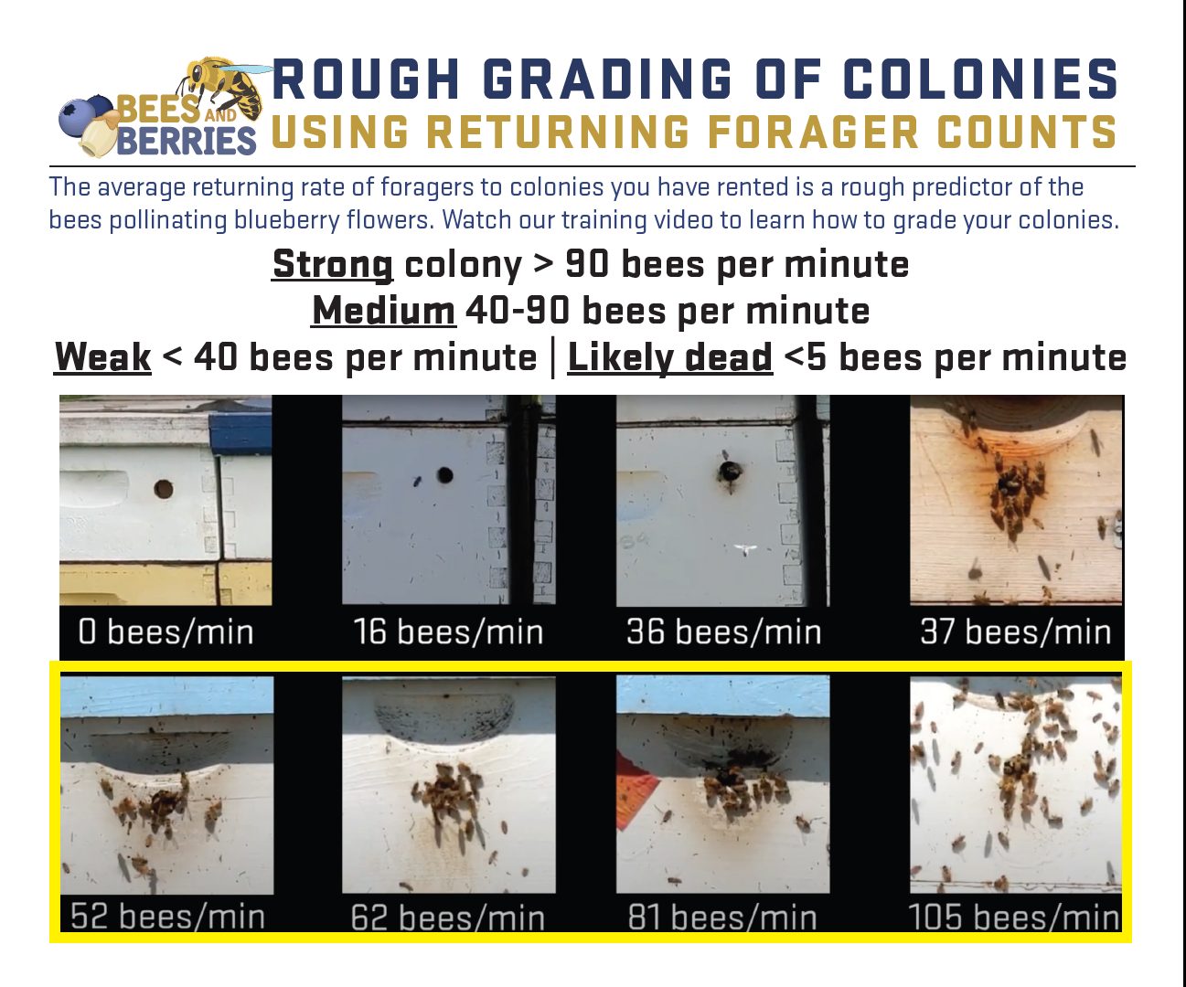 Rough guarding of colonies cover page