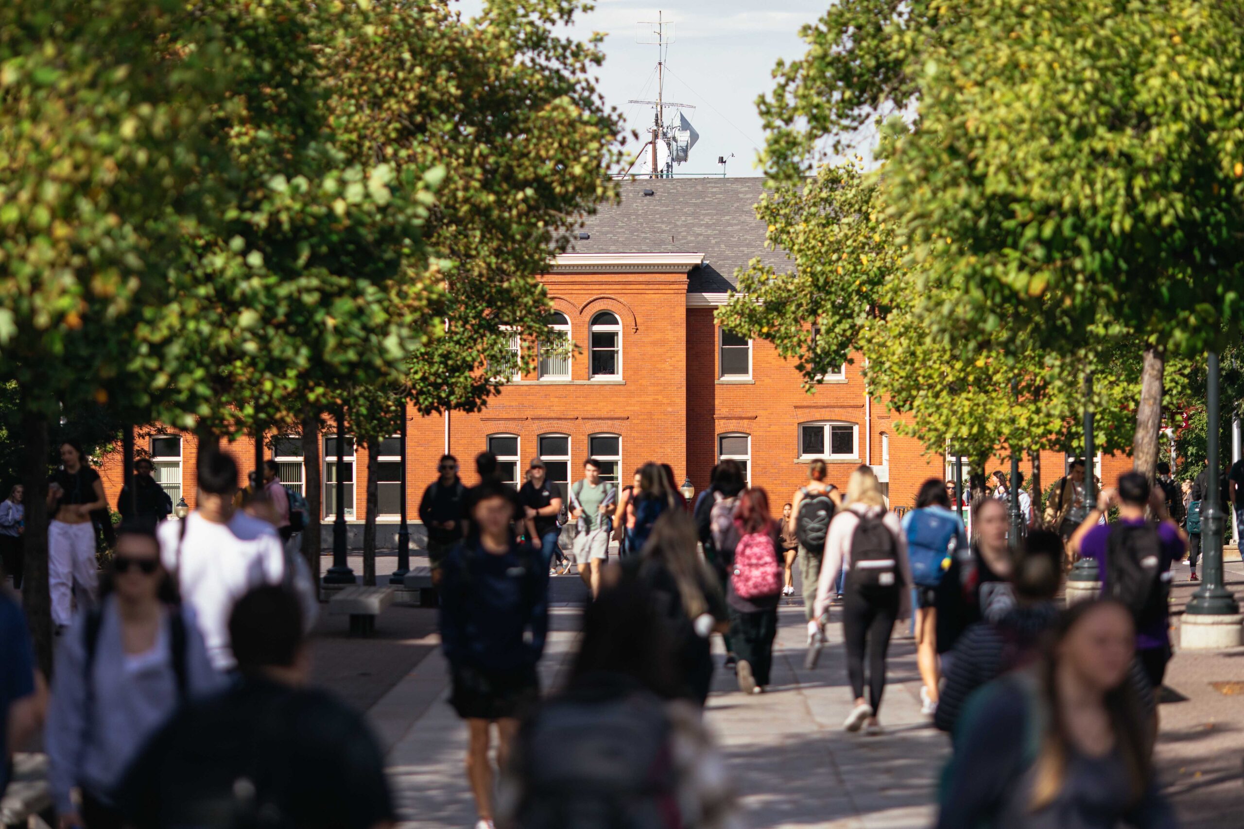 Why Carson College of Business?