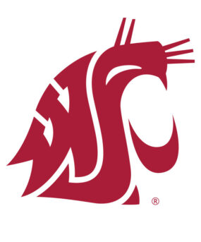 Crimson Cougar head logo on white.