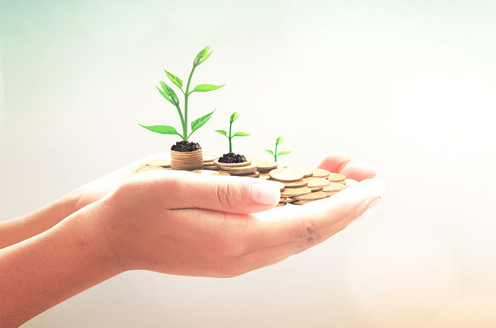 Hands holding stacks of coins with small green plants sprouting from them, symbolizing financial growth and sustainability.