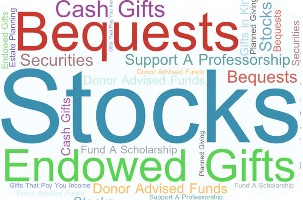 Colorful word cloud featuring terms related to charitable giving, including “Stocks,” “Bequests,” “Endowed Gifts,” “Cash Gifts,” and “Donor Advised Funds.”