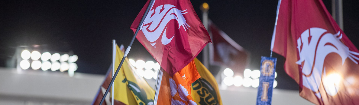 WSU crimson flags with the cougar logo waving at night among other college flags, illuminated by bright stadium lights in the background.