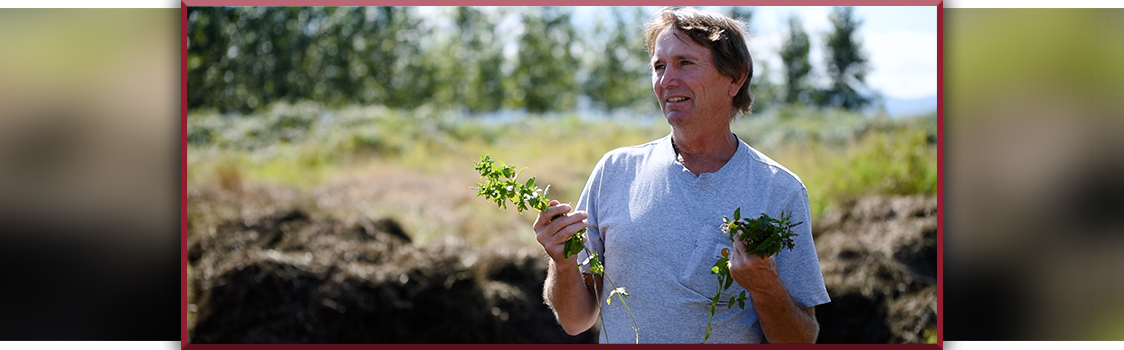 Mike Seely standing outdoors in a field, holding freshly cut mint sprigs in both hands with greenery and trees in the background.