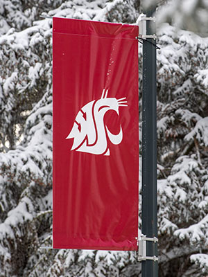 Red WSU banner with the white cougar head logo hanging from a pole, with snow-covered trees in the background.