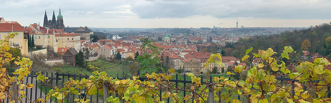 View of Prague’s red rooftops and historic skyline, including distant spires and autumn vineyards in the foreground, during a study‑abroad visit from Switzerland.