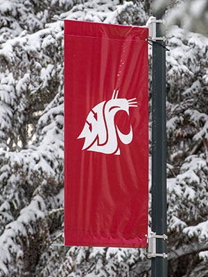 Red WSU banner with the white cougar head logo hanging from a pole, with snow-covered trees in the background.