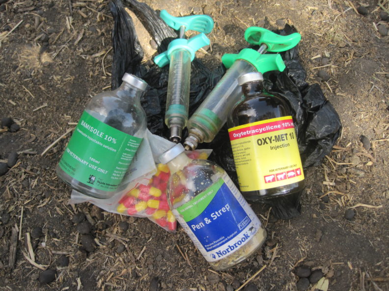 antibiotics for cows