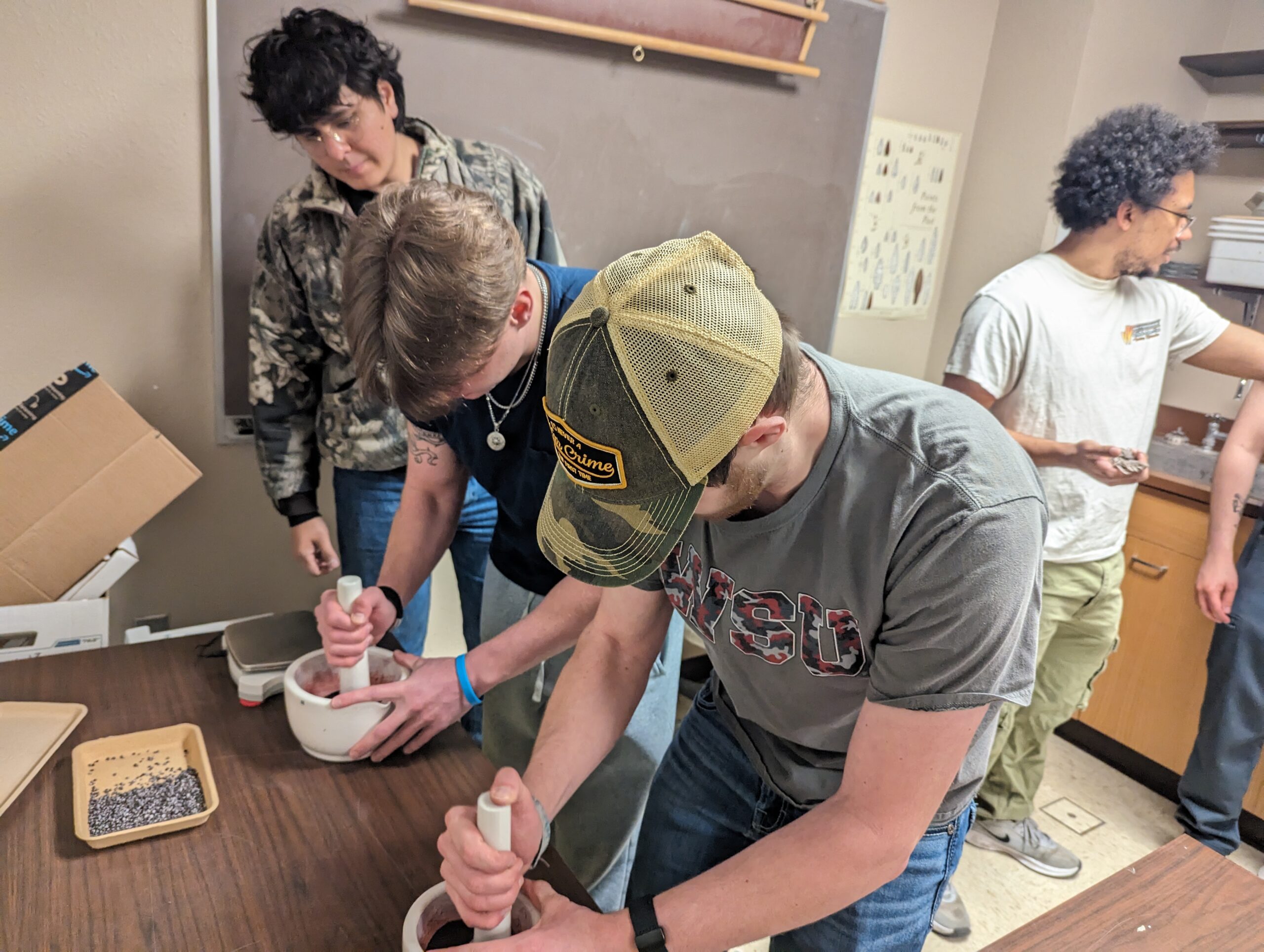 Students Grinding Cochineal granules for dye project
