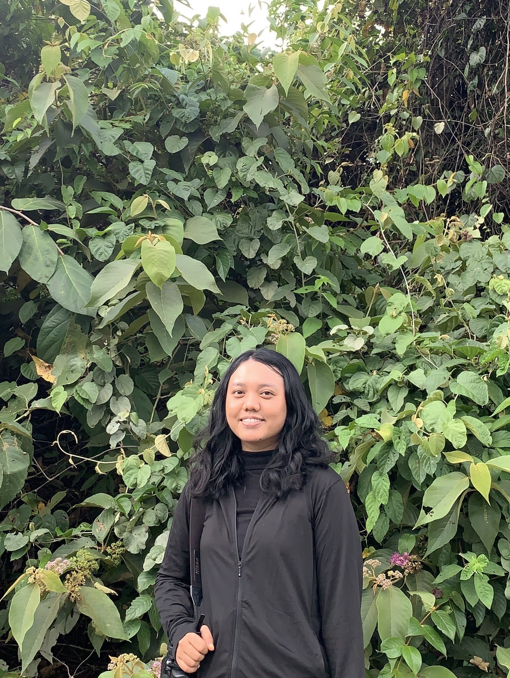 Tungga Putri