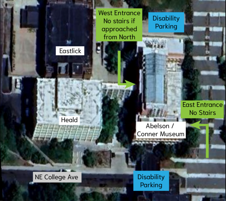 A satellite map of the area near Abelson Hall indicating disability parking zones at the north and southern ends of the Abelson building and the west and east entrances that avoid stairs. The Abelson/Connor Museum is at the southern end of the building next to NE College Avenue. 