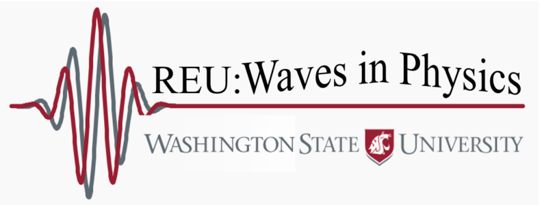 Logo image for "waves in physics" program.