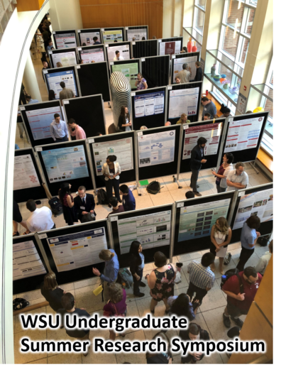 Students present their research results at a poster show