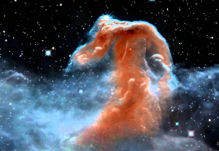 A detailed image of the Horsehead Nebula, a dark cloud in the Orion constellation.