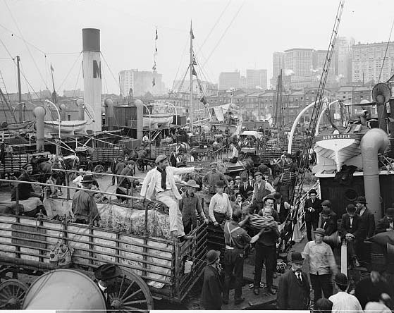 Dock Workers Unlading Bananas NYC 1905 LOC