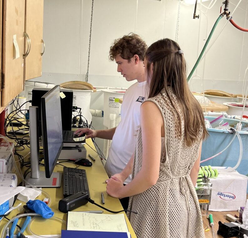 Student doing research on fish physiology using Loligo Aquatic Respirometry System.