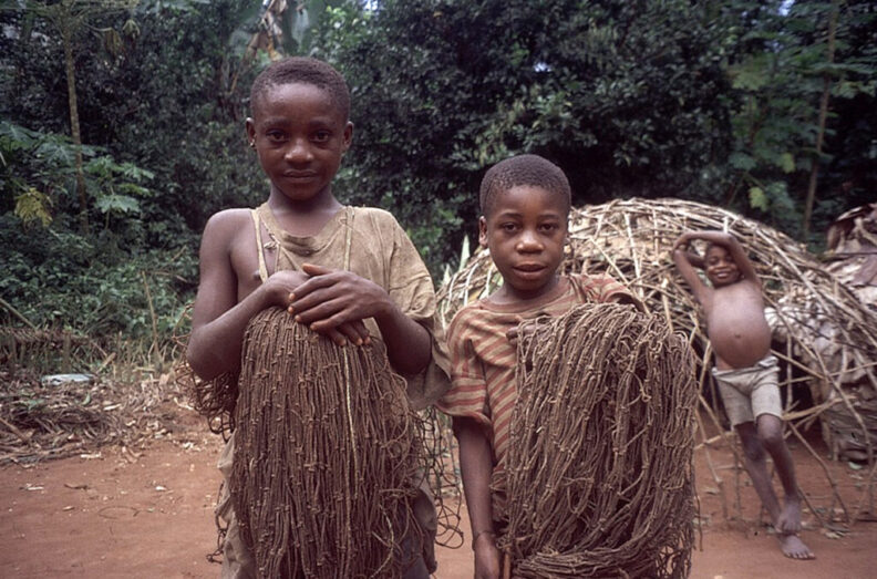 Boys with nets