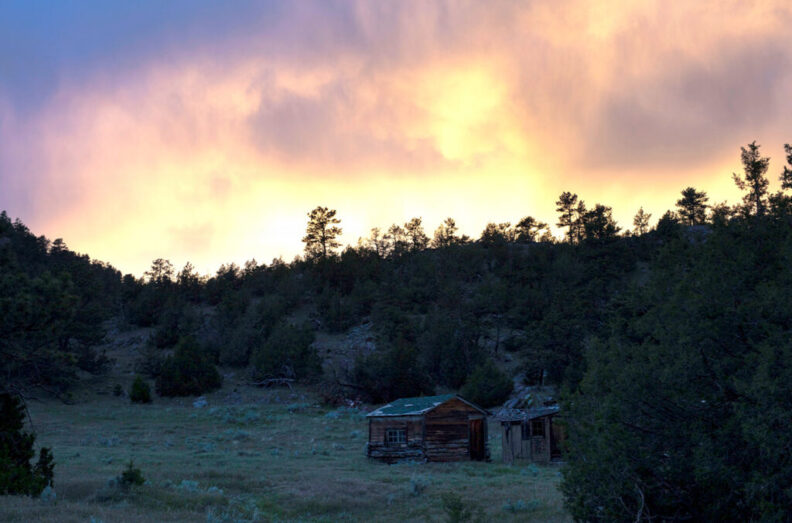 An old barn surrounded by trees.
