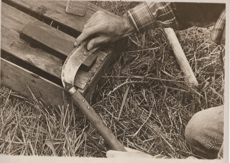 Black and white photo of a farming tool being hand sharpened on the ground of a field.