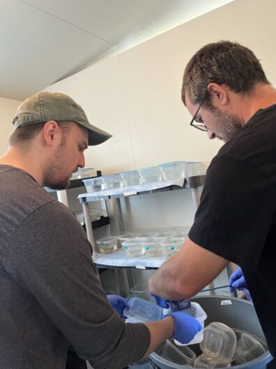 Nick Kessler and Bob Pearhill transfer a tadpole in a net.