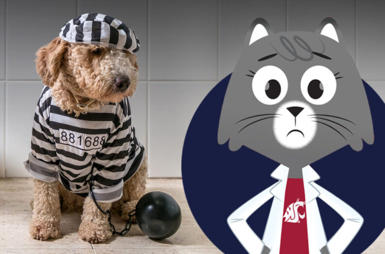 A composite featuring a closeup of a dog in a prison outfit and a cartoon illustration of Dr. Universe.