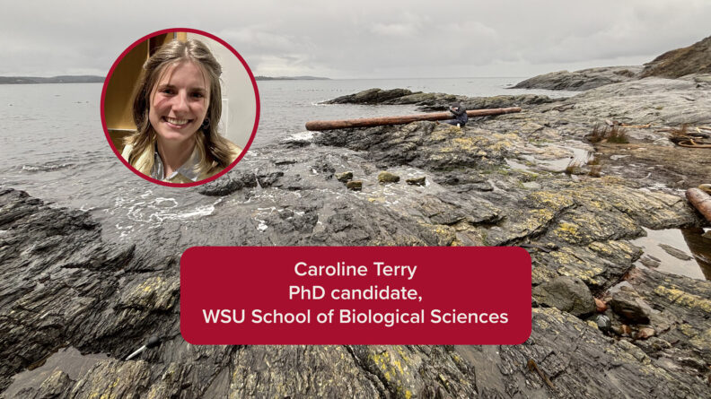 Caroline Terry. PhD candidate, WSU School of Biological Sciences.