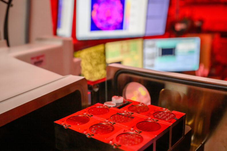 Samples and standard reference materials used for high-spatial-resolution compositional analyses.