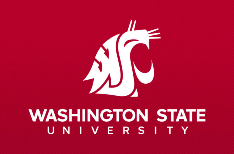 Washington State University - Spirit Mark