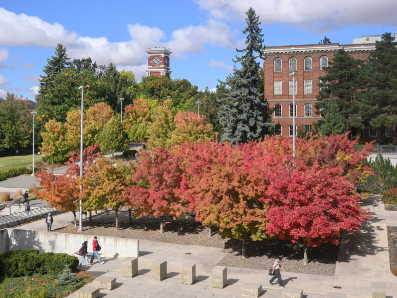View of fall colors on the WSU campus with people walking on sidewalks.