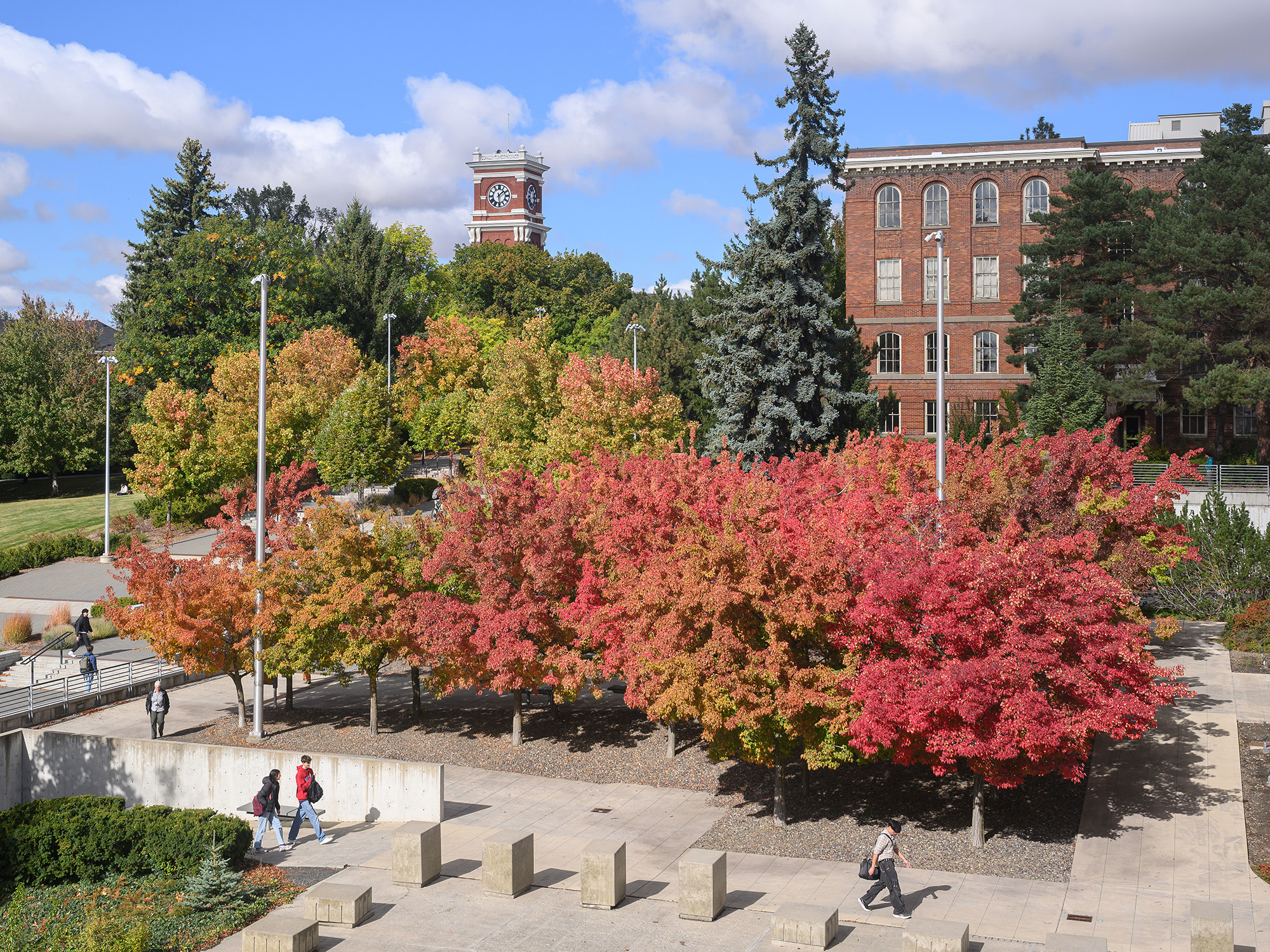 View of fall colors on the WSU campus with people walking on sidewalks.