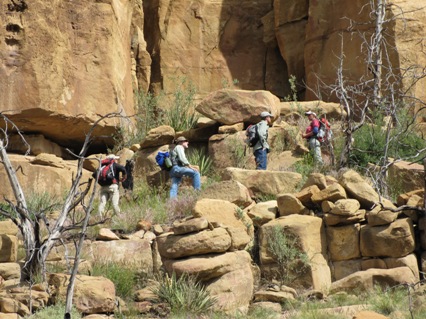 Explorers hiking on a trail.