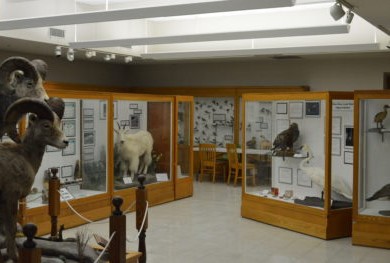 View of the interior of the Natural History Museum.