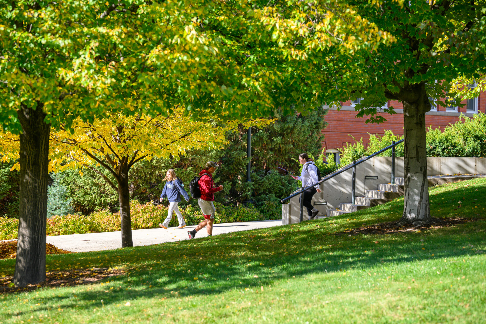 Fall scenes on the campus of Washington State University.