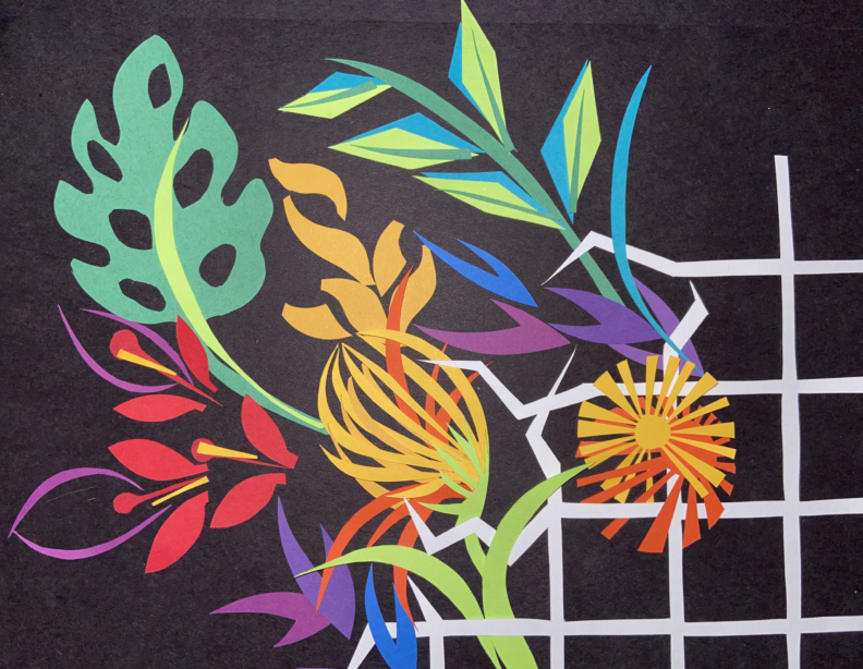 Outlaw Solidarities Image