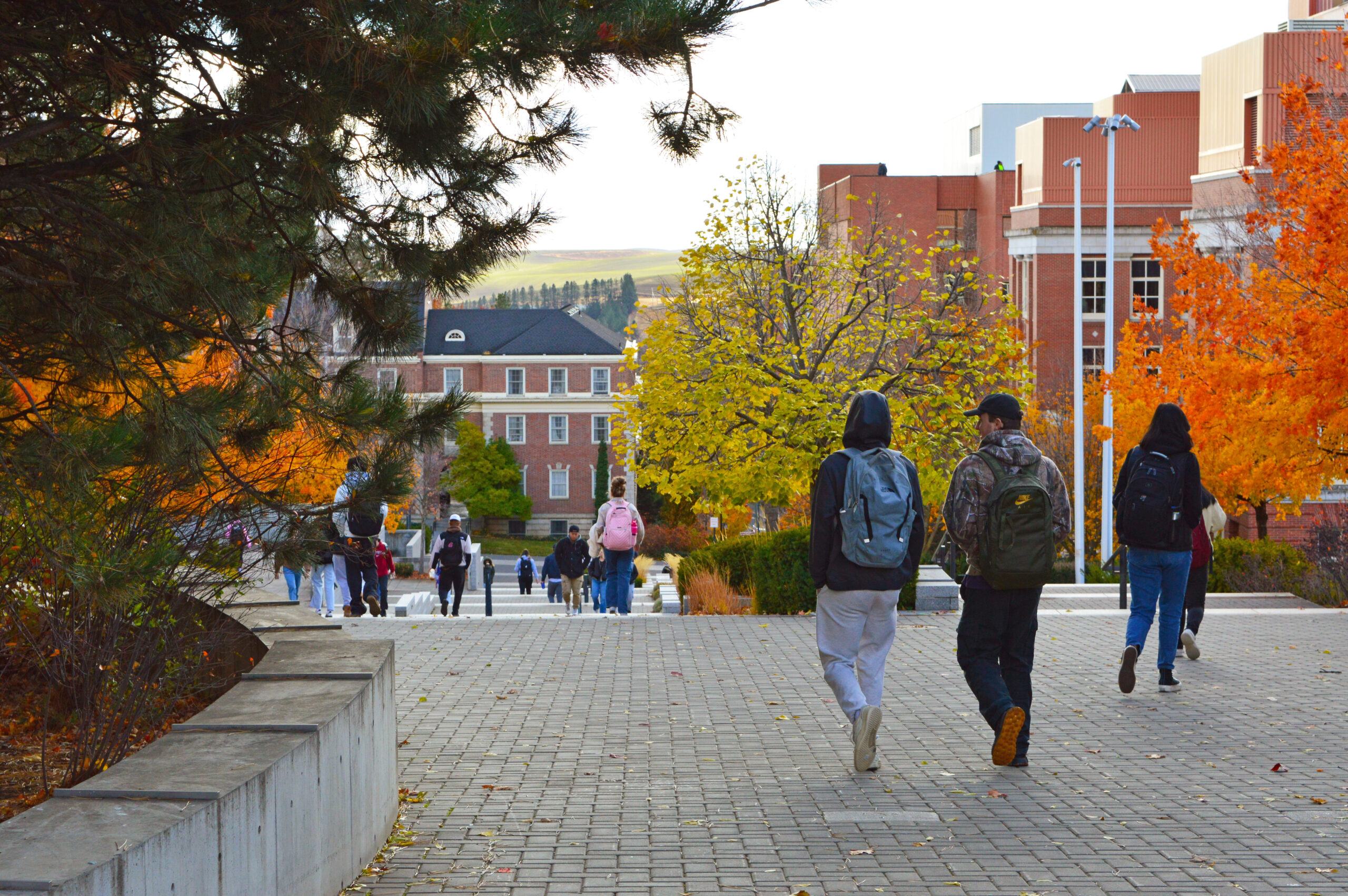 Students walking on the WSU Pullman campus.