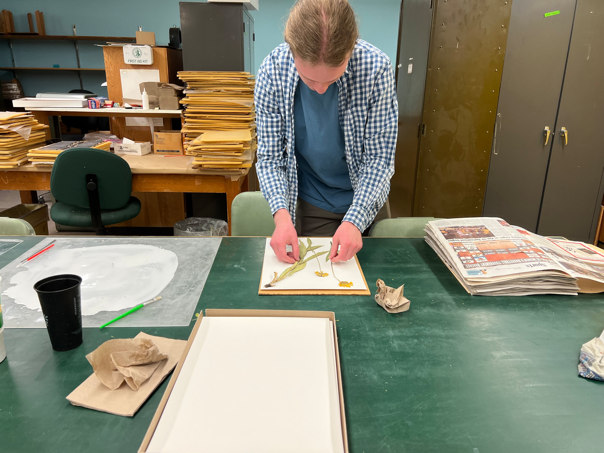 An employee in the Ownbey Herbarium assembling a display for plants.