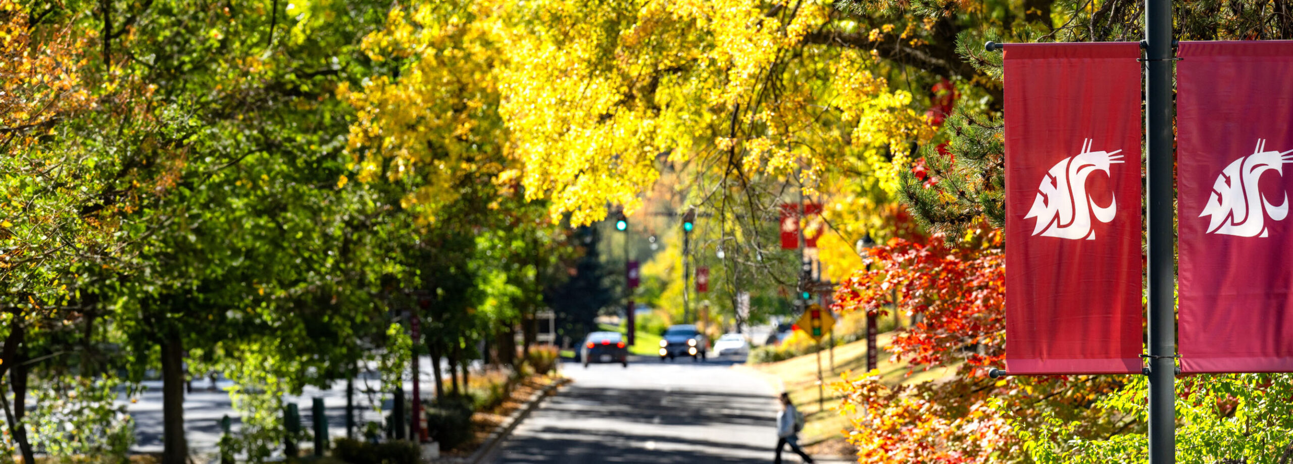 Fall colors and students on campus.