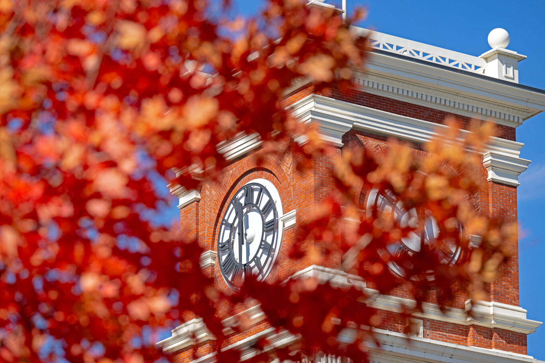 Fall colored leaves on Bryan Clock Tower.