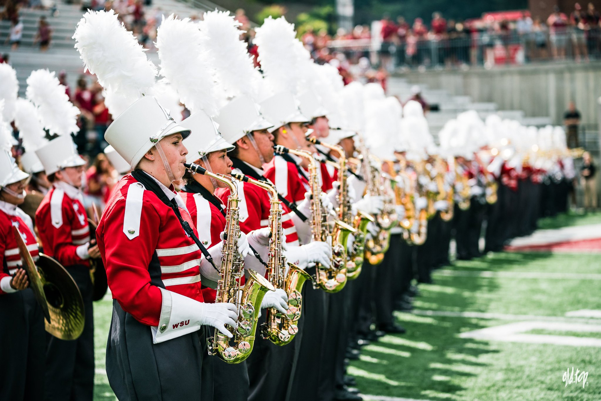 Cougar Marching Band performance.