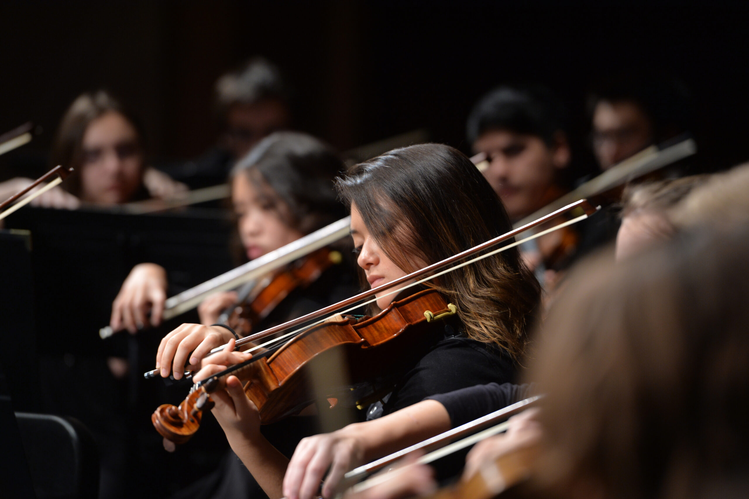 String section during a performance.