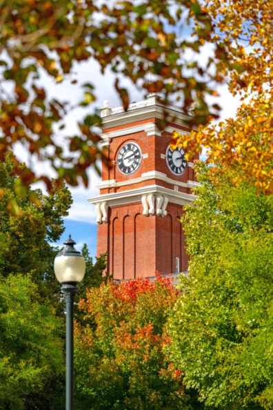 A view of Bryan clocktower through fall leaves. 
