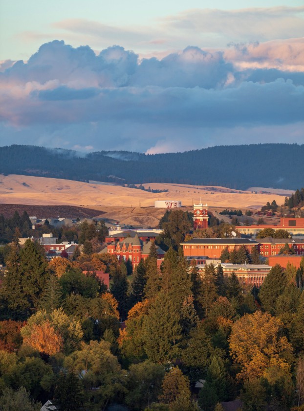 WSU and the Palouse scenery.