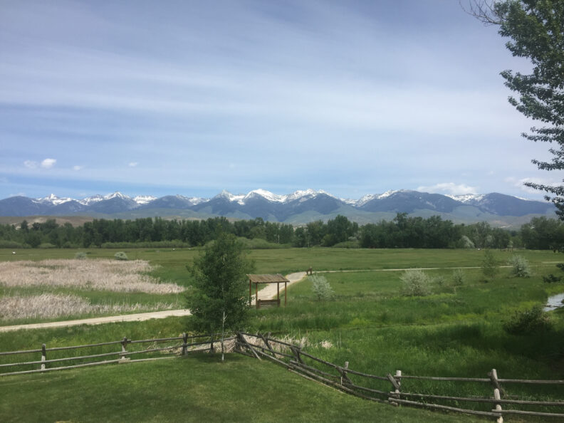 A wide shot of a field beneath the  Beaverhead Mountains.