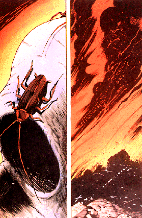 Two panels: a cockroach crawling on a human skull and an explosion.