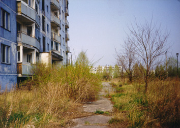Overgrown sidewalk by apartment building. (April, 26 1998)