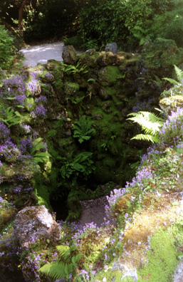 POWERSCOURT: An unusual feature of the Japanese Garden is this elaborate grotto.