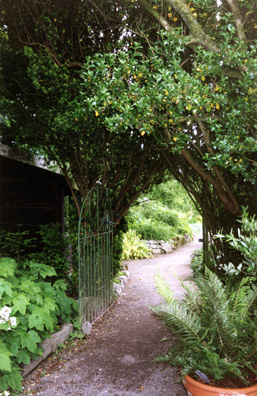 POWERSCOURT: Entrance into one of the walled gardens.