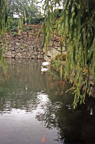 KYOTO: We headed for Himeji-jo, the most famous and best-preserved castle in Japan. Swans and carp were swimming in the outer castle moat. What remains of Himeji is a fragment of a much larger fortress town. The remaining castle was built by Toytomi Hideyoshi in 1580 and enlarged by his successor Ikeda Terumasa 30 years later. The castle was occupied by 48 successive feudal lords. May 25, 1998