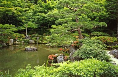 KYOTO: Pond in the Ginkakuji Garden. May 26, 1998
